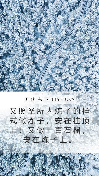 历 代 志 下 3:16 CUVS Bible Verse Image