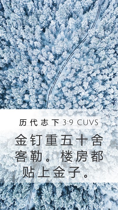历 代 志 下 3:9 CUVS Mobile Phone Wallpaper - 金 钉 重 五 十 舍 客 勒 。 楼 房 都 - Mobile Bible Verse Wallpaper