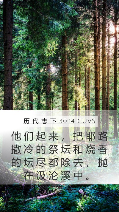 历 代 志 下 30:14 CUVS Mobile Phone Wallpaper - 他 们 起 来 ， 把 耶 路 撒 冷 的 祭 - Mobile Bible Verse Wallpaper