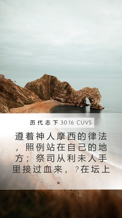 历 代 志 下 30:16 CUVS Bible Verse Image