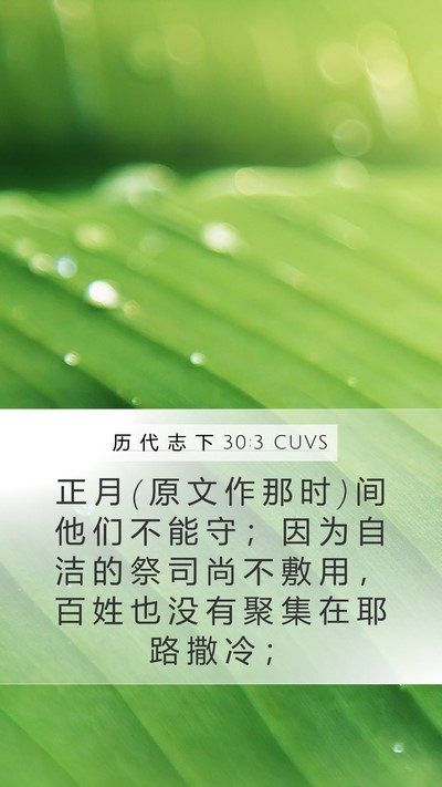 历 代 志 下 30:3 CUVS Bible Verse Image