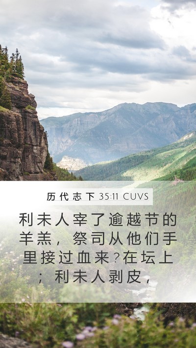 历 代 志 下 35:11 CUVS Mobile Phone Wallpaper - 利 未 人 宰 了 逾 越 节 的 羊 羔 ， - Mobile Bible Verse Wallpaper