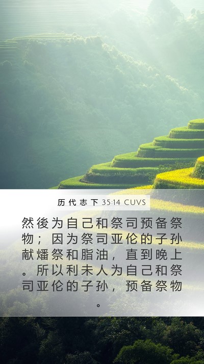 历 代 志 下 35:14 CUVS Mobile Phone Wallpaper - 然 後 为 自 己 和 祭 司 预 备 祭 物 - Mobile Bible Verse Wallpaper