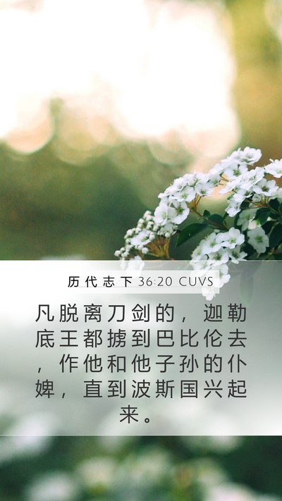 历 代 志 下 36:20 CUVS Bible Verse Image