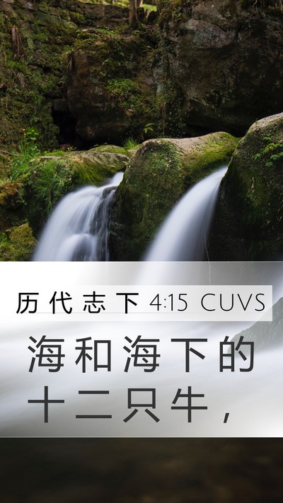 历 代 志 下 4:15 CUVS Mobile Phone Wallpaper - 海 和 海 下 的 十 二 只 牛 - Mobile Bible Verse Wallpaper