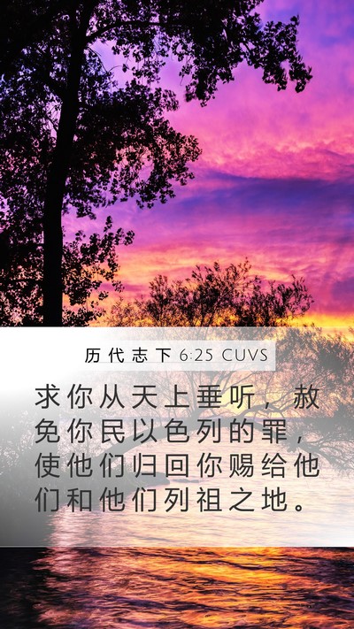 历 代 志 下 6:25 CUVS Mobile Phone Wallpaper - 求 你 从 天 上 垂 听 ， 赦 免 你 民 - Mobile Bible Verse Wallpaper