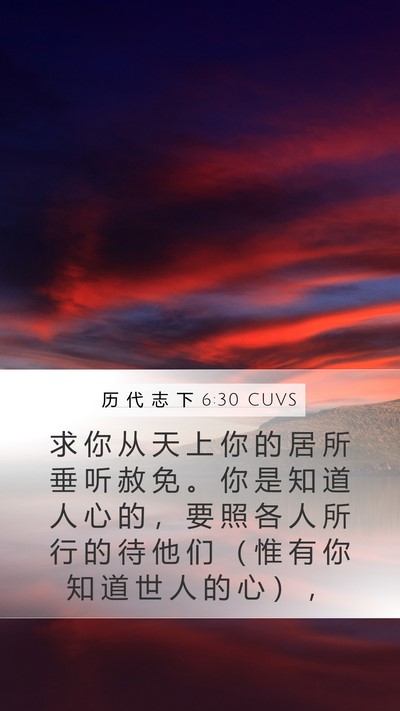 历 代 志 下 6:30 CUVS Bible Verse Image