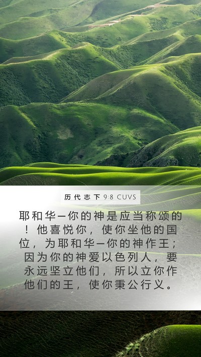 历 代 志 下 9:8 CUVS Bible Verse Image