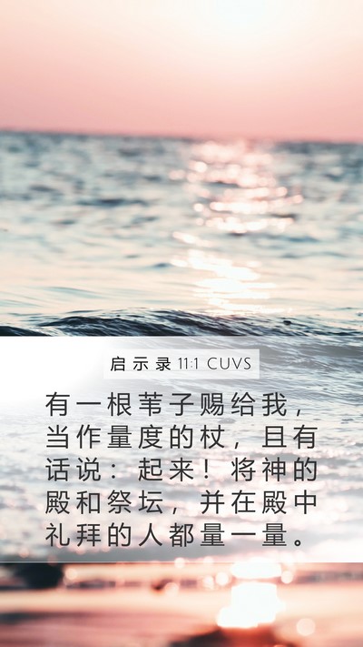 启 示 录 11:1 CUVS Bible Verse Image