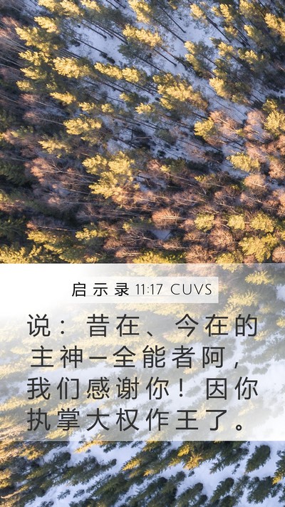 启 示 录 11:17 CUVS Bible Verse Image