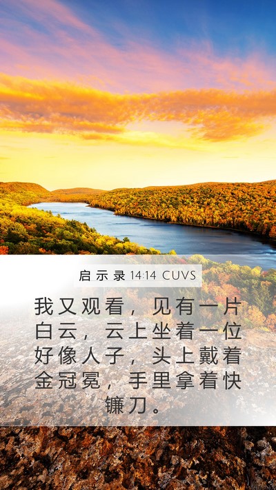 启 示 录 14:14 CUVS Bible Verse Image