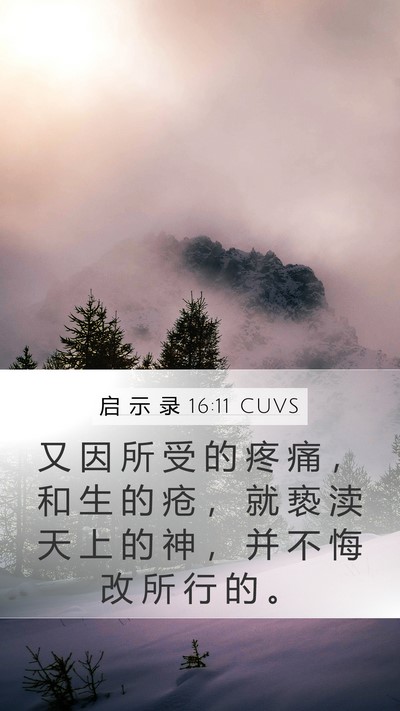 启 示 录 16:11 CUVS Bible Verse Image