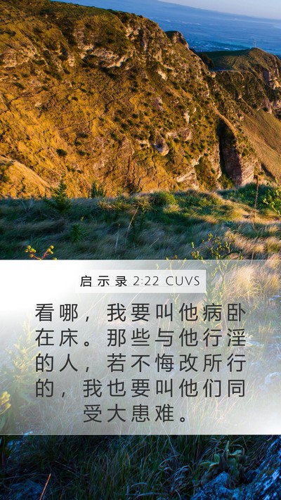 启 示 录 2:22 CUVS Bible Verse Image