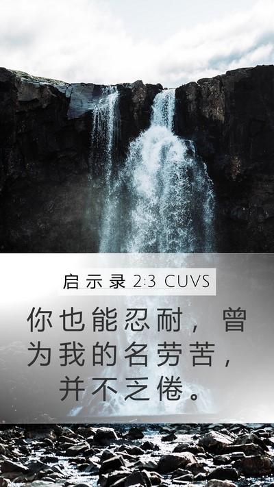启 示 录 2:3 CUVS Bible Verse Image