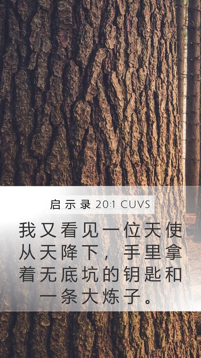启 示 录 20:1 CUVS Bible Verse Image