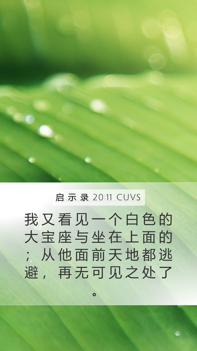 启 示 录 20:11 CUVS Bible Verse Image