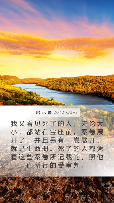 启 示 录 20:12 CUVS Bible Verse Image