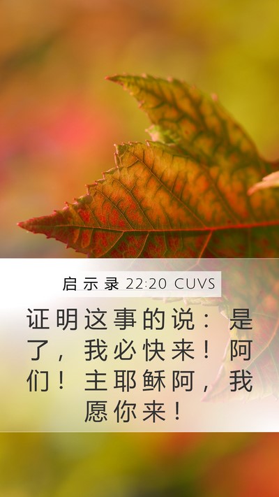 启 示 录 22:20 CUVS Bible Verse Image