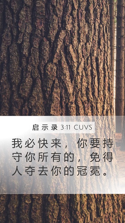 启 示 录 3:11 CUVS Bible Verse Image
