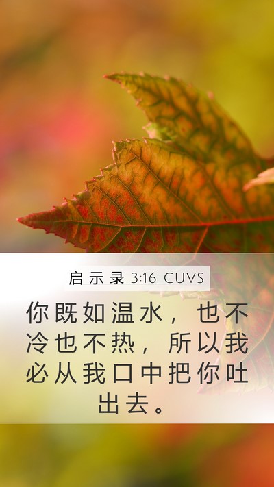 启 示 录 3:16 CUVS Bible Verse Image