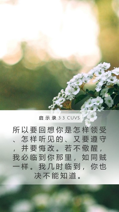 启 示 录 3:3 CUVS Bible Verse Image