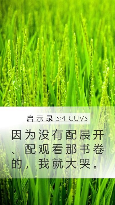 启 示 录 5:4 CUVS Mobile Phone Wallpaper - 因 为 没 有 配 展 开 、 配 观 看 那 - Mobile Bible Verse Wallpaper