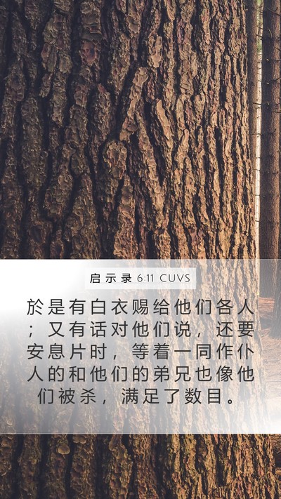 启 示 录 6:11 CUVS Bible Verse Image