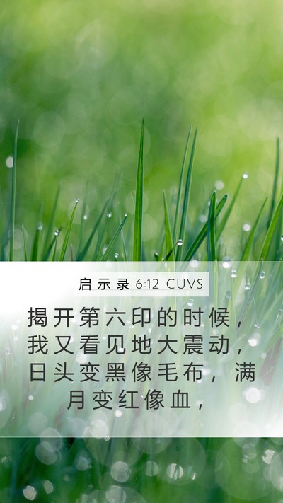 启 示 录 6:12 CUVS Bible Verse Image