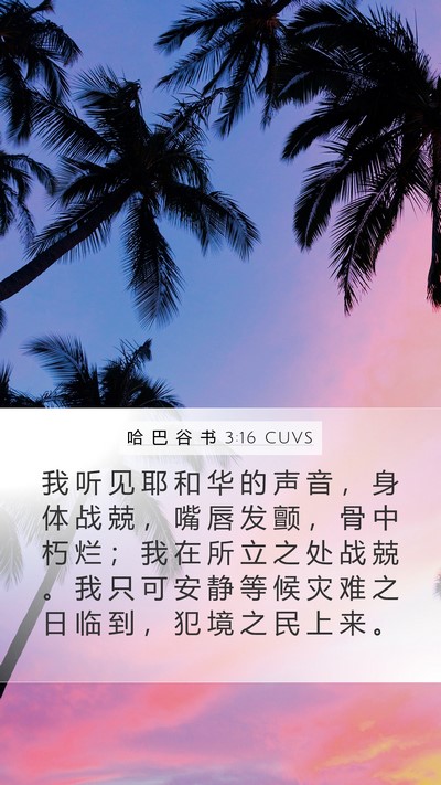哈 巴 谷 书 3:16 CUVS Bible Verse Image