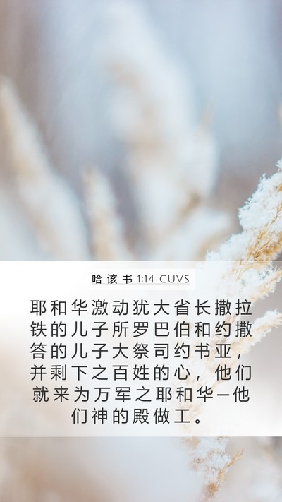 哈 该 书 1:14 CUVS Bible Verse Image