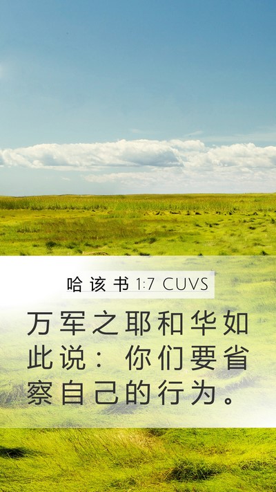 哈 该 书 1:7 CUVS Mobile Phone Wallpaper - 万 军 之 耶 和 华 如 此 说 ： 你 们 - Mobile Bible Verse Wallpaper
