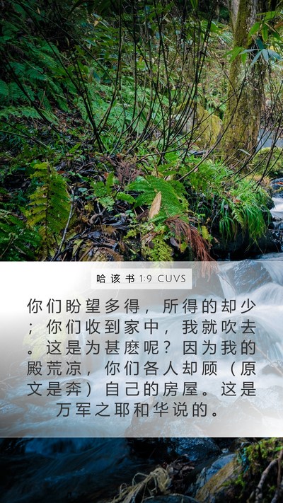 哈 该 书 1:9 CUVS Bible Verse Image