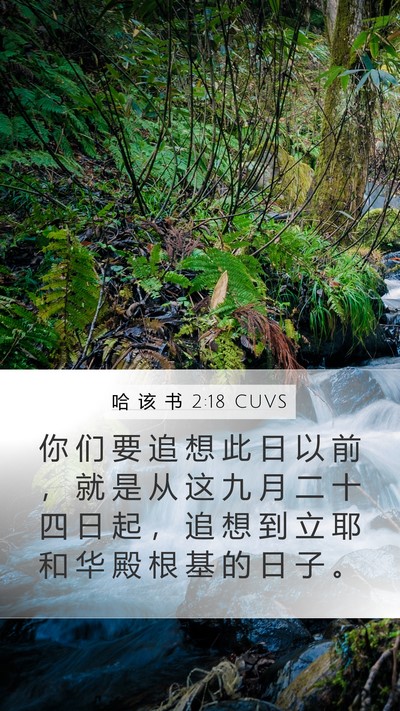 哈 该 书 2:18 CUVS Bible Verse Image