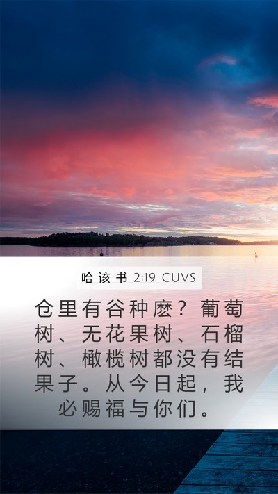哈 该 书 2:19 CUVS Bible Verse Image
