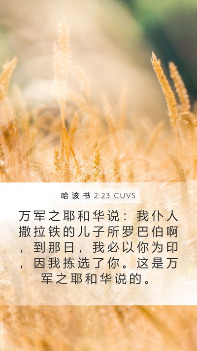 哈 该 书 2:23 CUVS Bible Verse Image