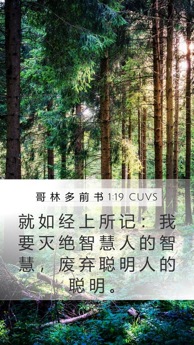 哥 林 多 前 书 1:19 CUVS Mobile Phone Wallpaper - 就 如 经 上 所 记 ： 我 要 灭 绝 智 - Mobile Bible Verse Wallpaper