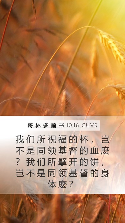 哥 林 多 前 书 10:16 CUVS Bible Verse Image