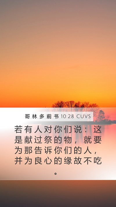 哥 林 多 前 书 10:28 CUVS Bible Verse Image