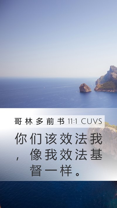 哥 林 多 前 书 11:1 CUVS Bible Verse Image