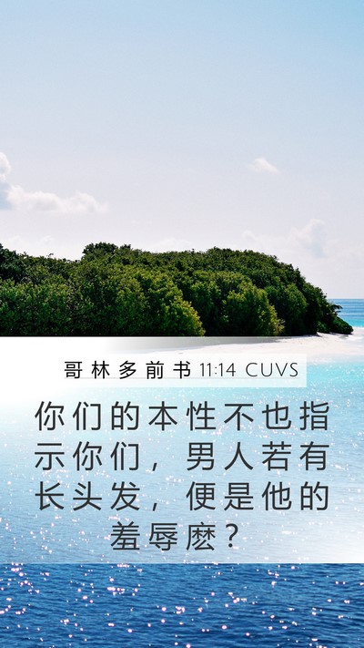 哥 林 多 前 书 11:14 CUVS Bible Verse Image