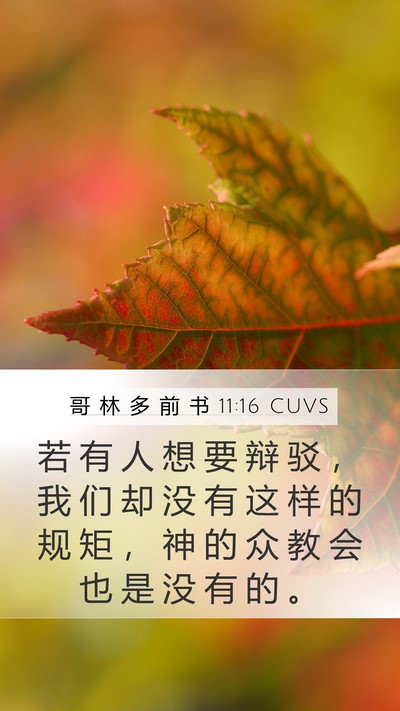 哥 林 多 前 书 11:16 CUVS Bible Verse Image