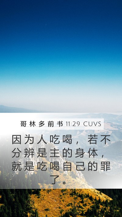 哥 林 多 前 书 11:29 CUVS Bible Verse Image