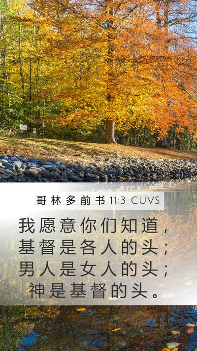 哥 林 多 前 书 11:3 CUVS Bible Verse Image