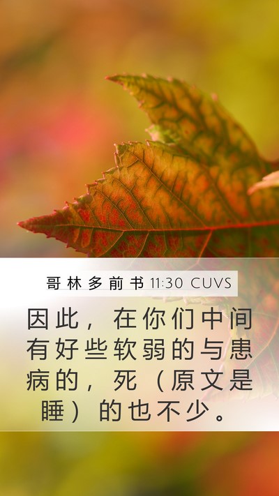 哥 林 多 前 书 11:30 CUVS Bible Verse Image