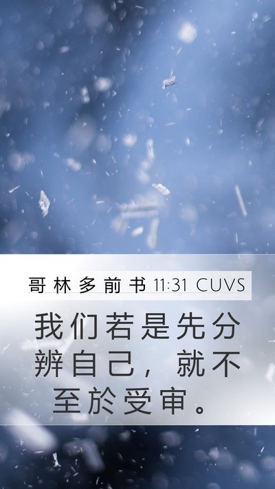 哥 林 多 前 书 11:31 CUVS Bible Verse Image