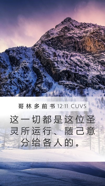 哥 林 多 前 书 12:11 CUVS Bible Verse Image