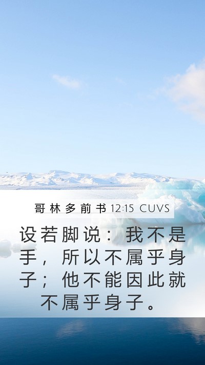 哥 林 多 前 书 12:15 CUVS Mobile Phone Wallpaper - 设 若 脚 说 ： 我 不 是 手 ， 所 以 - Mobile Bible Verse Wallpaper