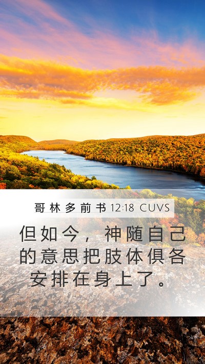 哥 林 多 前 书 12:18 CUVS Bible Verse Image