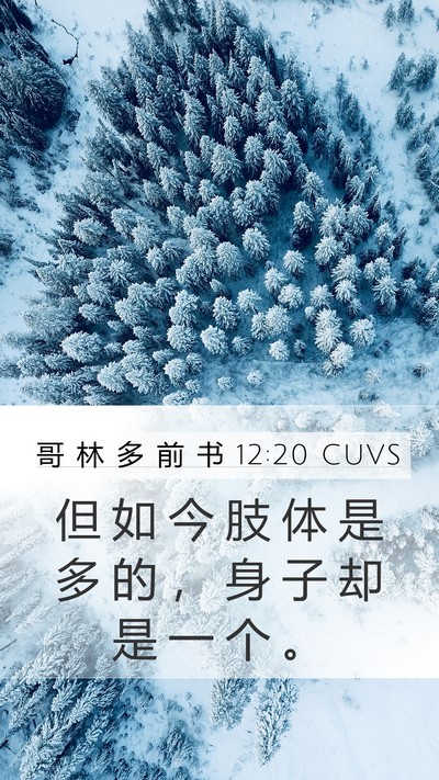 哥 林 多 前 书 12:20 CUVS Bible Verse Image