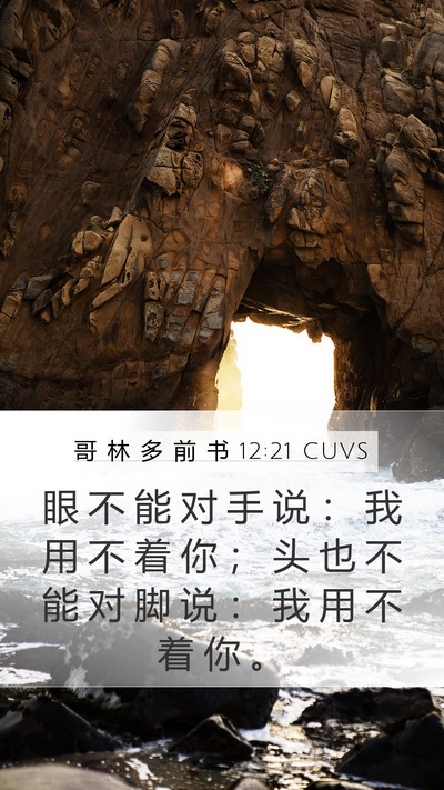 哥 林 多 前 书 12:21 CUVS Bible Verse Image